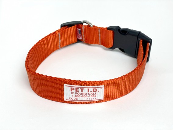 Pet ID Collars